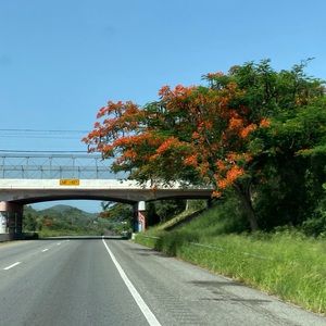 Meet your Posher, Marisol